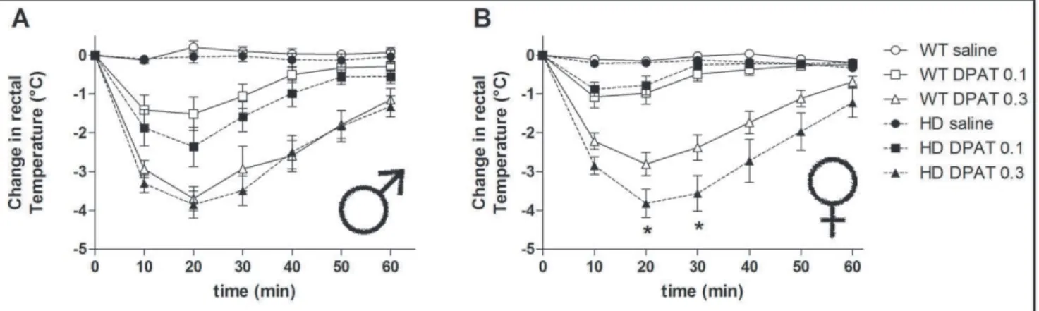 Figure 4. Effect of sex and HD mutation on 8-OH-DPAT-induced hypothermia. Acute injection with the 5-HT 1A receptor agonist 8-OH-DPAT (0.1 and 0.3 mg/kg, s.c.), decreased rectal temperatures in a dose-dependent manner in both (A) male and (B) female mice w