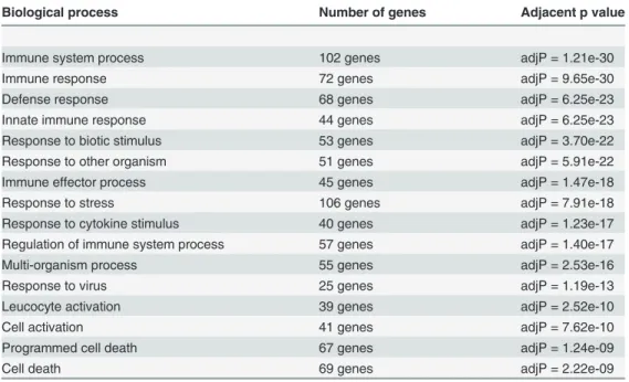 Table 2. We used Webgestalt to identify overrepresented GO terms in > 2 fold upregulated genes in the glioma-regulated (red and brown) modules.