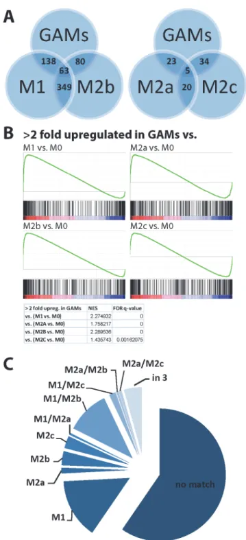 Fig 3. Comparison of GAMs with data sets of M1, M2a,b,c-stimulated macrophages. We retrieved data sets from http://www.ebi.ac.uk/arrayexpress (Data set: E-GEOD-32690; [44]), containing data of