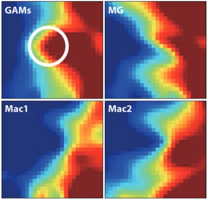 Fig 1. Graphical representation of gene expression patterns in the four data sets. The four GEDI maps show that the gene expression patterns of GAMs and naive microglia are more similar to each other than both macrophage datasets (blue colour indicating lo