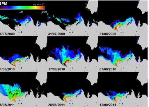 Fig. 7. Maps of SPM concentrations retrieved from selected MODIS-Aqua satellite data recorded in 2009 (top), 2010 (middle) and 2011 (bottom).
