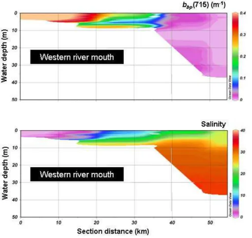 Fig. 8. Spatial variations of b bp (715), in m −1 , (a proxy for the SPM concentration, and water salinity along the Mackenzie River mouth (west side)