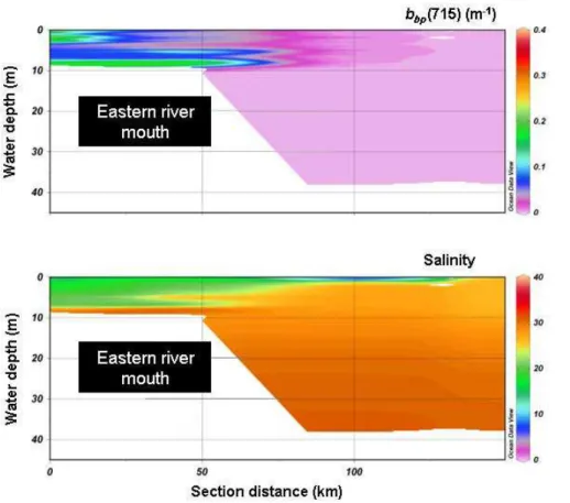 Fig. 9. Spatial variations of b bp (715), in m −1 , (a proxy for the SPM concentration, and water salinity along the Mackenzie River mouth (east side)