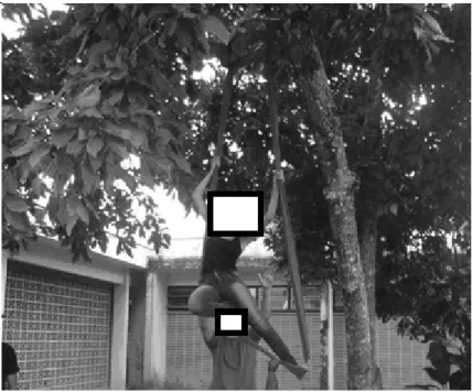 Figura 1 – Registro em experimentação tecidual. 