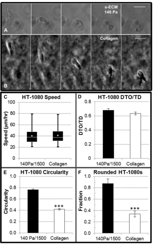 Figure 9.  A comparison of quantified migration and morphologies for HT-1080s in synthetic ECM and collagen
