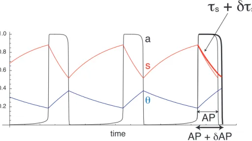 Figure 5A shows the contributions of s to episode termination (C s AP ) and initiation (C s SP ) as the ratio t h / t s is varied, determined through numerical simulations as shown in Figure 4