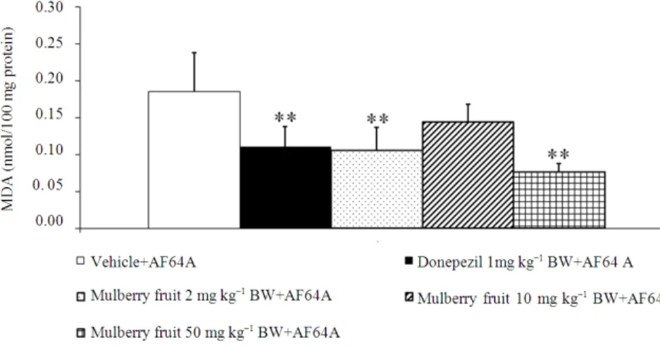 Fig. 3:  The  effect  of  mulberry  fruit  powder  on  the  malondialdehyde  (MDA)  level  in  hippocampus.**  p&lt;0.01  as  compared with vehicle plus AF64A 