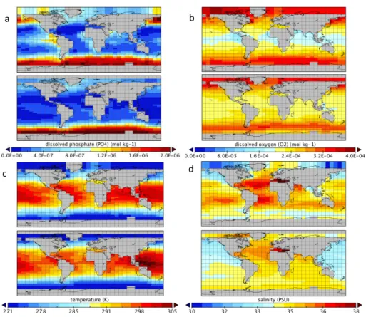 Fig. 3. Surface observations (upper panels, gridded onto the model grid as in Ridgwell et al., 2007a, here for the higher vertical resolution of the applied model) compared to EPFC  ensem-ble averages (lower panels) for (a) dissolved phosphate (Garcia et a
