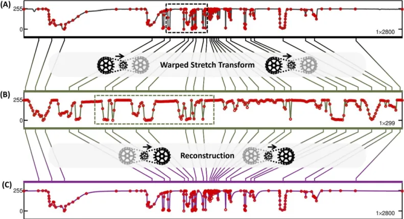 Fig 3. Results for row 838 (out of 1672) of the fractal clock image at 6X warped stretch compression with overhead compensation