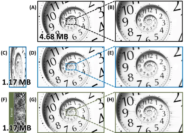 Fig 7 shows the rate distortion plot for warped stretch compression as compared to com- com-pression with uniform downsampling for the fractal clock and the portrait images