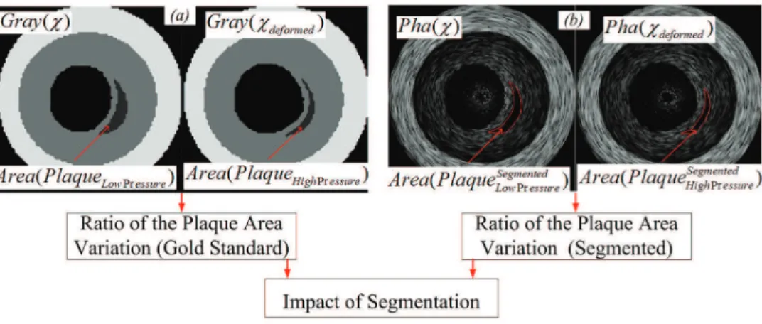 Figure 7. Computation of the impact of segmentation. (a) AR deformation computed using the gray level images, gold standards