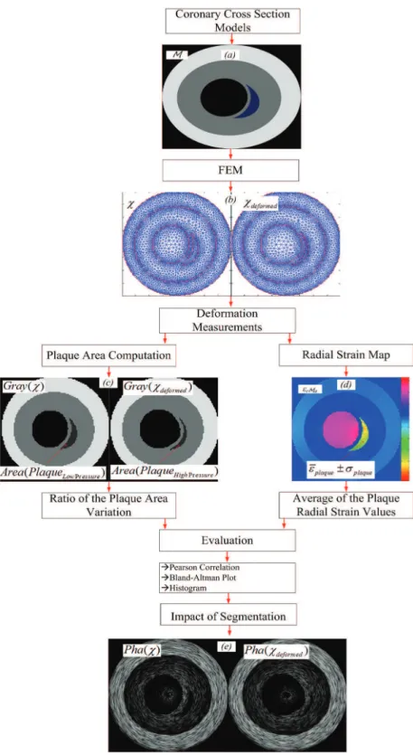 Figure 2. Block diagram of the overall methodology of this approach: (a) A coronary cross section model under evaluation (M); (b) The  mesh, c, and deformed mesh, c deformed , of M, after FEM; (c) The corresponding gray level images of the mesh, c, and def