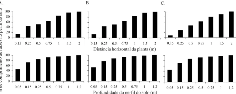 Figura 5. Distribuição de raízes do citrumelo ‘Swingle’ sob lima ácida ‘Tahiti’, referente aos intervalos de irrigação de um dia (A), dois dias (B) e três dias (C) em relação à distância horizontal da planta e da profundidade do perfil do solo