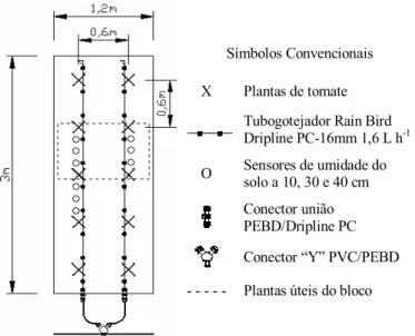 Figura 1. Esquema de uma parcela experimental com o sistema de irrigação implantado e os sensores de umidade