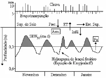 Figura 1. Hidrograma freático e índice SEW 30 Infiltração da água no solo