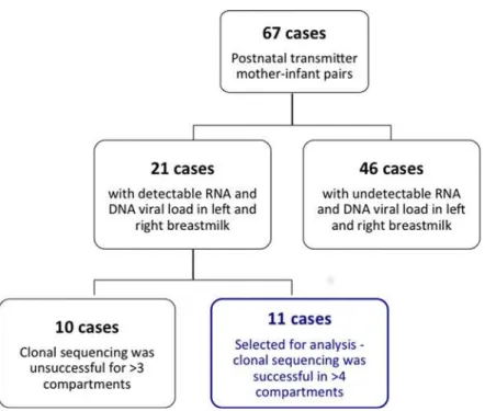 Fig 1. Sample size of VTS cohort. An illustration of the number of patients in the post-natal vertical transmission study and the subsequent number of cases, comprising mother-infant pairs, selected for this analysis.