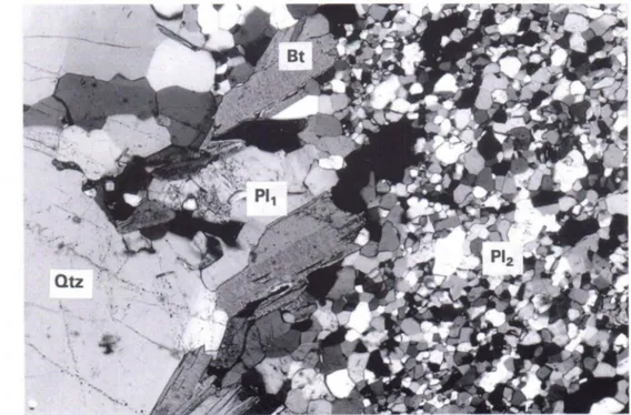 Fig. 6. Annealed plagioclase, Pl 2 , and quartz showing crystallization in unstrained state in semi-brittle fracture  (to the right) at Hiltuspuro