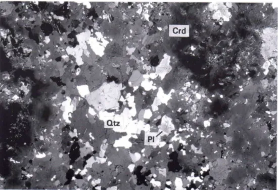 Fig. 7. Detail of cordierite-rich patch including remnants of &#34;primary&#34; plagioclase and recrystallized quartz at  Hiltuspuro