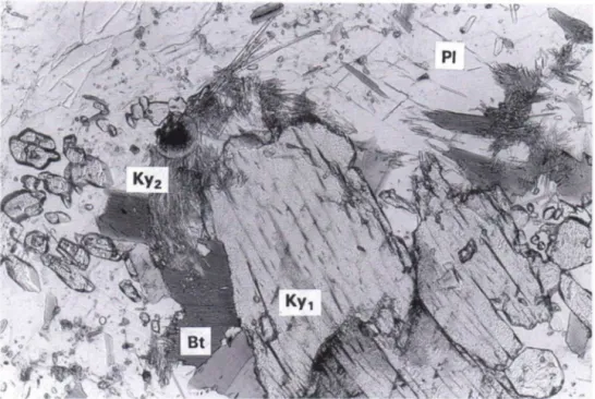 Fig. 14. Coarse-grained kyanite (Ky,) and fibrous kyanite (Ky 2 ) generations at Havukkalammit