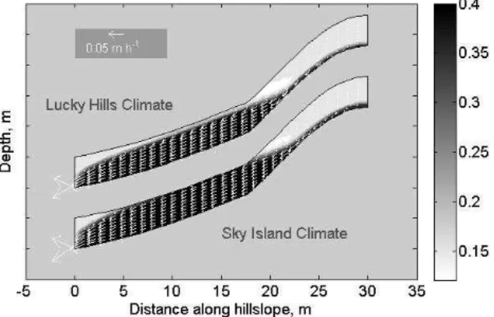 Fig. 3. Schematic presentation of relationship between modeling components used in this study to predict solid phase evolution in the Biosphere 2 hillslope experiment.