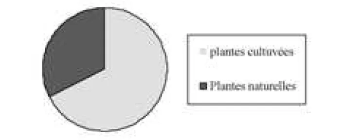 Figure 1: Répartition des plantes mellifères en fonction du degré de domestication.