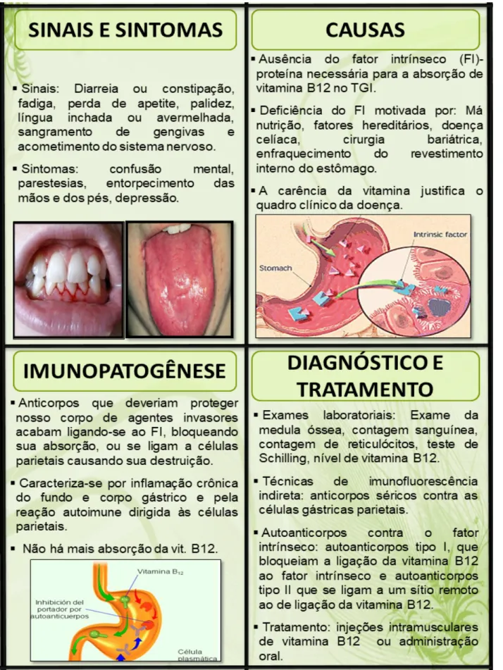 Figura 1  –  Cartas do jogo ImunoDAI contendo informações sobre principais causas, imunopatogênese, sinais e sintomas,  diagnóstico e tratamento da anemia perniciosa 