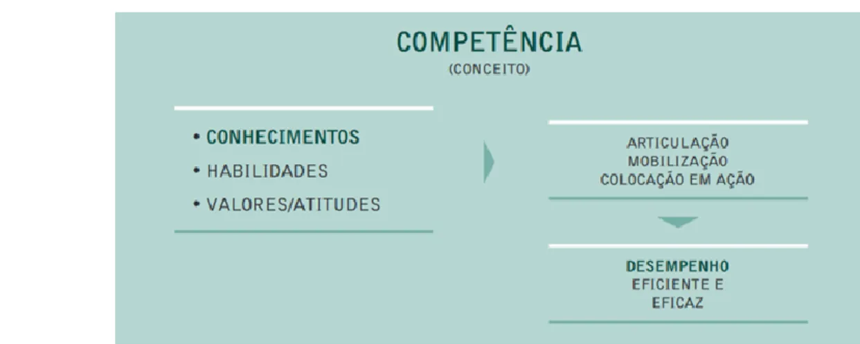 Figura 1 - Conceito de competência  