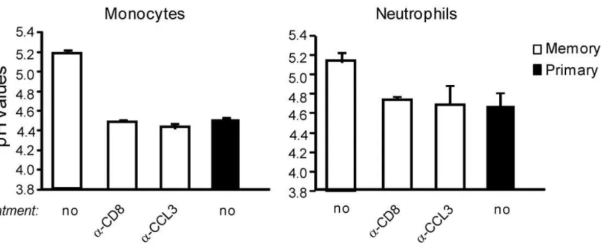 Figure 3. The phagosomal pH inside inflammatory monocytes and neutrophils rises during a secondary immune response