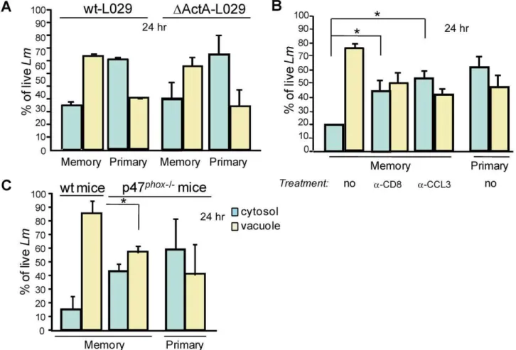 Figure 7B shows representative pictures of infected phagocytes containing Lm engulfed inside vacuolar structures that exhibit the characteristic double membrane feature of autophagosomes.