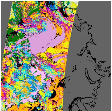 Figure 1. Cloud types as detected by NWCSAF’s PPS-software for one selected satellite scene: MetOp overpass from 16.07.2007, scene starting at 21:52 UTC