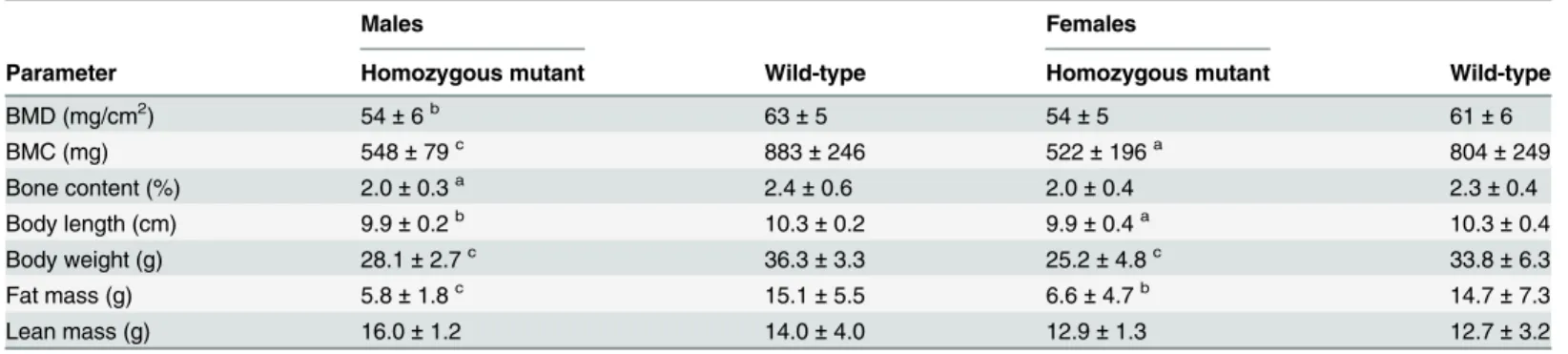 Table 7. Dual energy X-ray absorption (DXA) analysis of bone- and weight-related parameters in line Pou3f3 L423P .