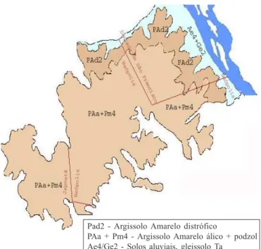 Figura 1. Classes de solo predominantes no Distrito de Irrigação Platô de Neópolis, SE