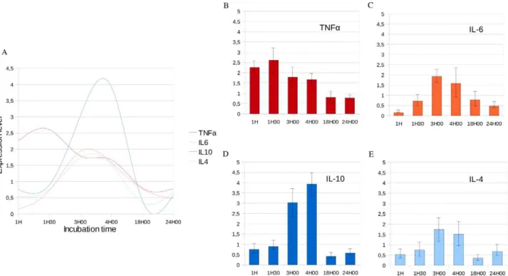 Figure 2. Histological quantification of lung injury following OA injection. Sections are representative of all animals examined per group