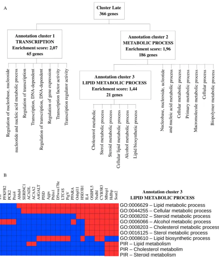 Figure 5. Functional annotation enrichment of the 366 genes belonging to cluster Late