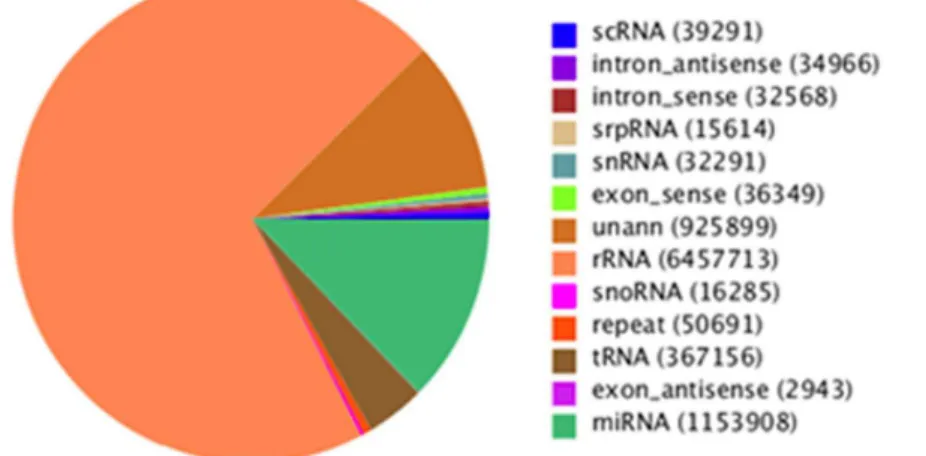 Table 1. Summary of Illumina Hiseq sequencing data for small RNAs in PK-15 infected FMDV and negative groups.
