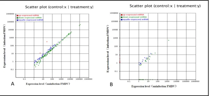 Figure 4. The endogenous novel miRNA exhibited significant base bias especially in 20, 22 and 24 nt miRNAs.