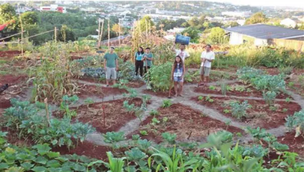 Figura 5 - Horta comunitária 