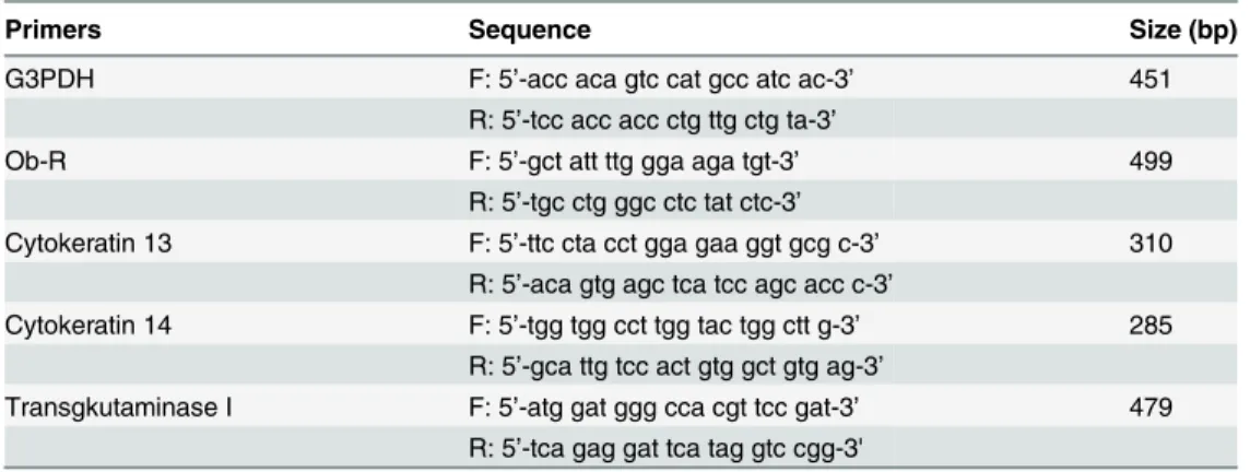 Table 1. Oligonucleotide primers used in RT-PCR.