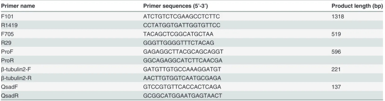 Table 1. Sequences of primers.