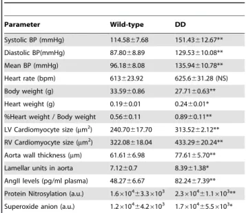 Table 1. Cardiovascular parameters of 16-week-old wild-type and DD mutant mice.