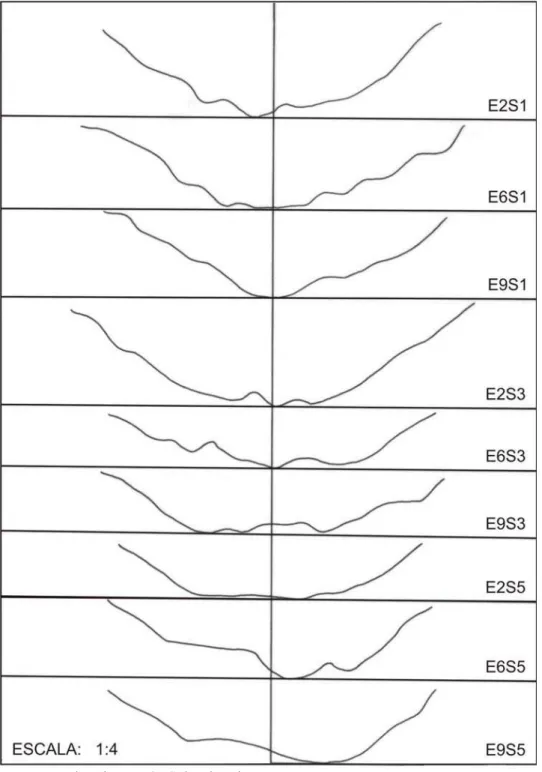 Figura 3. Variação espacial e temporal da seção transversal de escoamento superficial, referente à estação 36,5 m, nos sulcos de irrigação