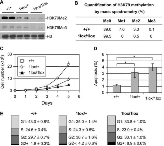 Figure 3. Phenotypic analysis of Dot1L mutant ES cells. (A) Western blot analysis using extracts from ES cell lines of the indicated Dot1L genotypes and antibodies specific for di-, and tri-methylated H3K79