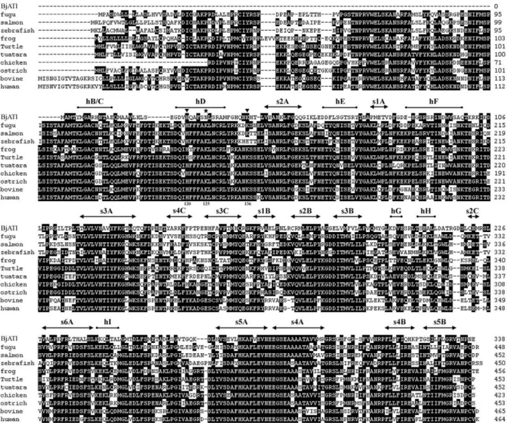 Figure 1. Aligned sequences of BjATl and 10 vertebrate antithrombins. Mature human antithrombin numbering is used