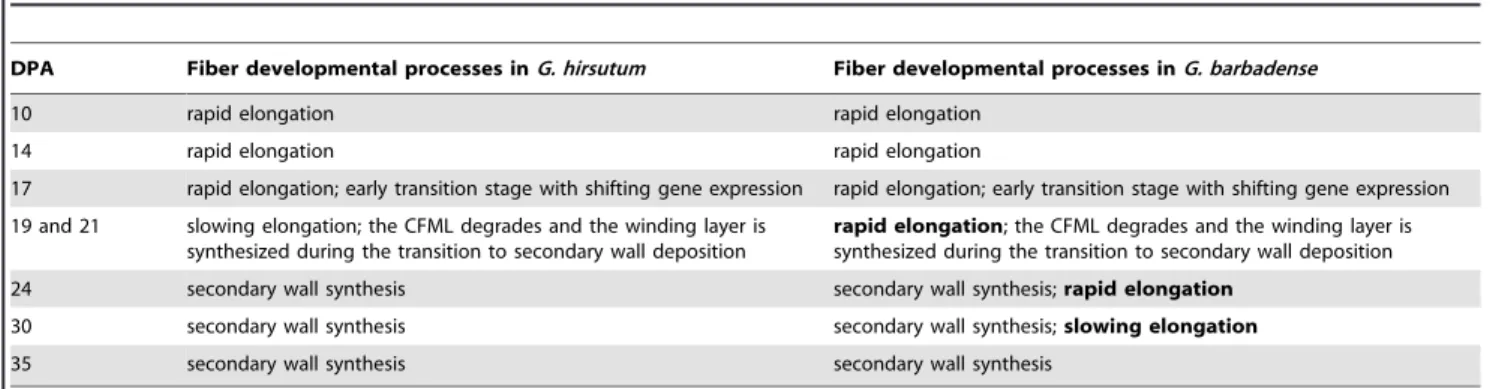 Table 2. Fiber differentiation processes on the DPA analyzed in these experiments. a.