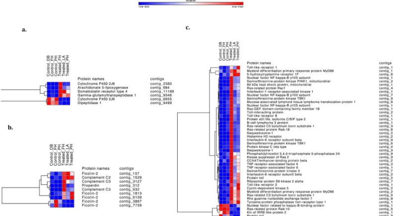 Fig 3. Immune related pathways heatmaps. Heatmaps of immune-related differentially expressed transcripts between control and treated sea stars.