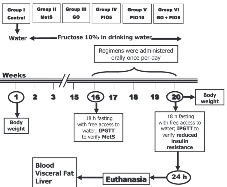 Fig 1. Adult male Wistar rats (45 days; 170±20 g) were randomly divided into 2 experimental subsets, namely, control group (free access to water for 16 weeks then vehicle for 4 weeks) or metabolic syndrome (MetS; 10% fructose solution in drinking water for