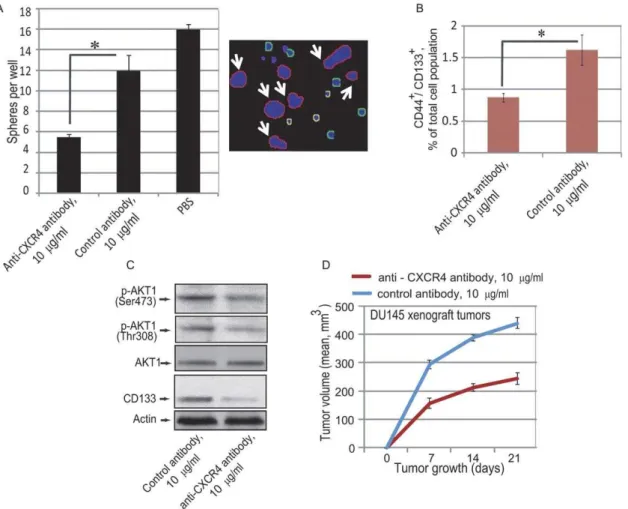 Figure 6. CXCR4 neutralization leads to attenuation of the CD44 + /CD133 + prostate progenitor population