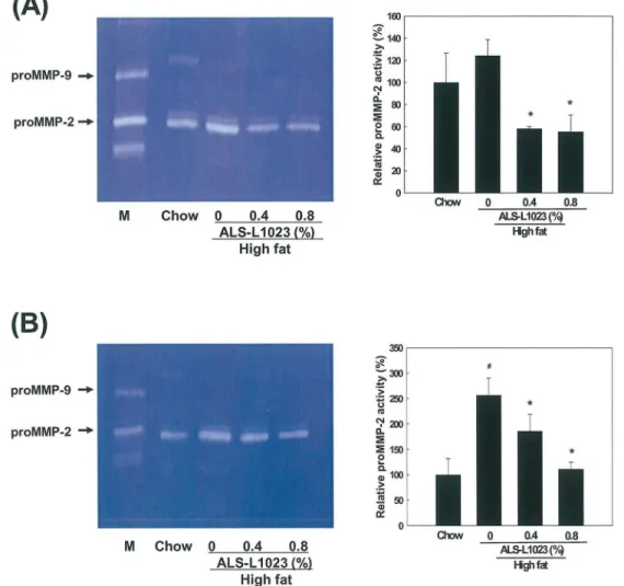 Fig 5. Zymographic analysis of adipose tissue. Extracts from (A) epididymal VSC and (B) inguinal SC adipose tissues obtained from mice fed a high fat diet or a high fat diet supplemented with 0.4 and 0.8% ALS for 8 weeks were applied to a gelatin-containin