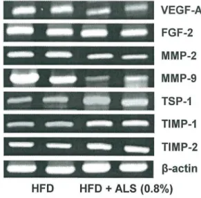 Fig 6. Effects of ALS on the expression of angiogenic factors, MMPs and their inhibitors in epididymal VSC and inguinal SC adipose tissues of diet-induced obese mice