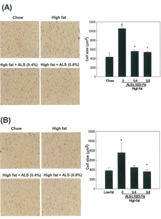 Fig 3. Light microscopy analysis of adipocyte size in adipose tissue. Adult male mice were fed a standard chow diet, a high fat diet, or the same high fat diet supplemented with 0.4 or 0.8% ALS for 8 weeks.